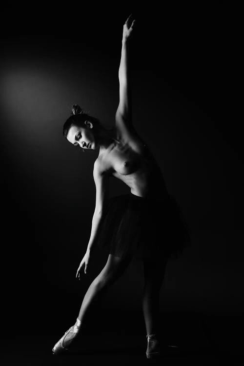 Classic Ballerina Dancer In Ballet Tutu Dress Classical Posing II