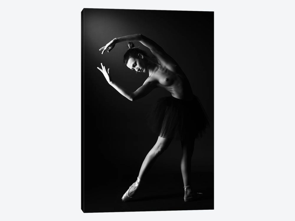 Classic Ballerina Dancer In Ballet Tutu Dress Classical Posing III by Alessandro Della Torre 1-piece Art Print