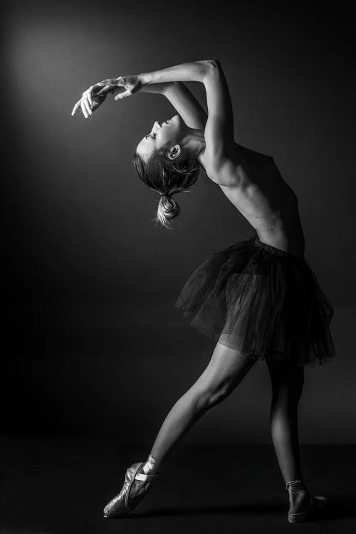 Classic Ballerina Dancer In Ballet Tutu Dress Classical Posing IV