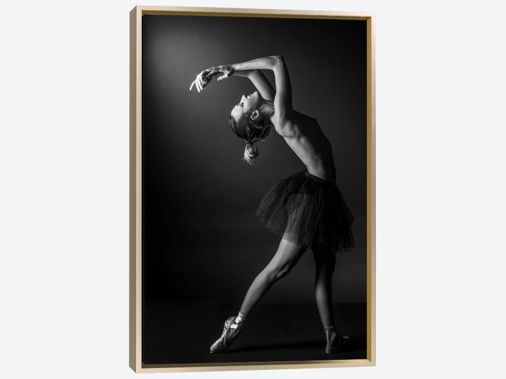danse classique ➽ 345 Original artworks, Limited Editions