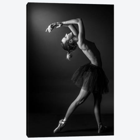 Classic Ballerina Dancer In Ballet Tutu Dress Classical Posing IV Canvas Print #ADT352} by Alessandro Della Torre Canvas Wall Art