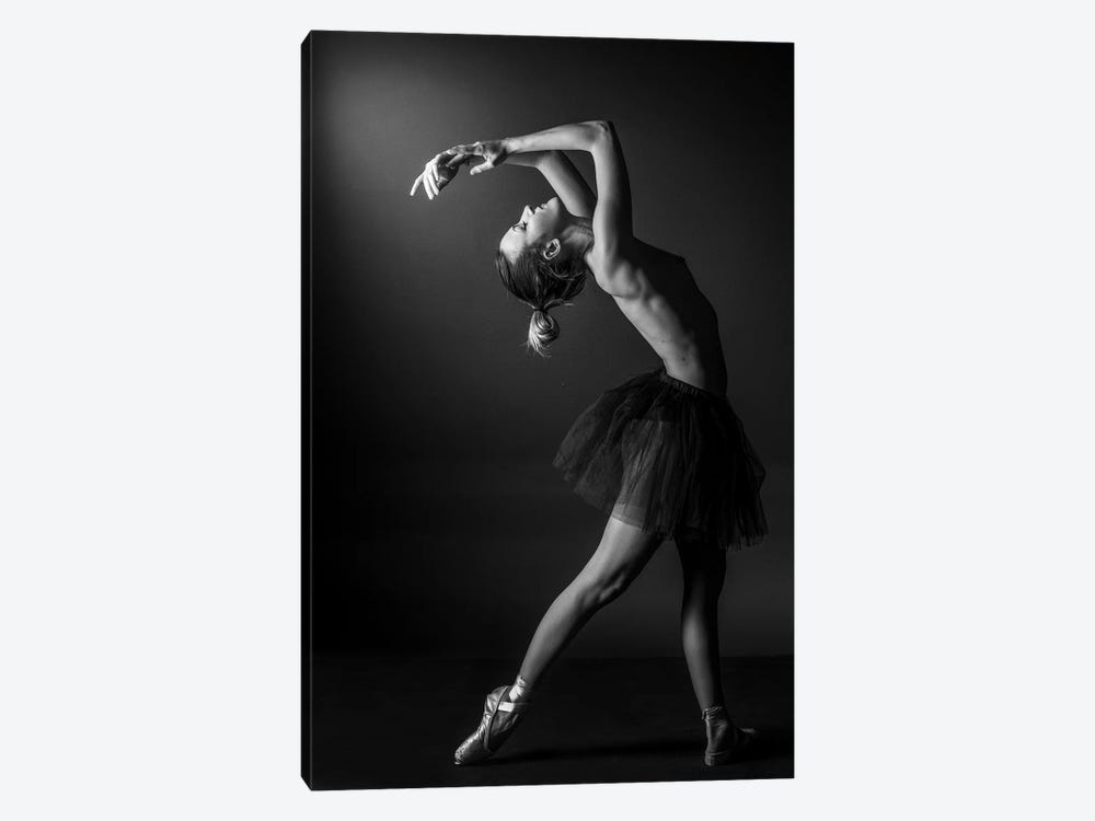 Classic Ballerina Dancer In Ballet Tutu Dress Classical Posing IV by Alessandro Della Torre 1-piece Canvas Artwork