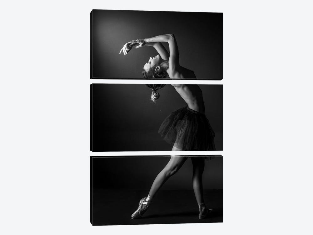 Classic Ballerina Dancer In Ballet Tutu Dress Classical Posing IV by Alessandro Della Torre 3-piece Canvas Art