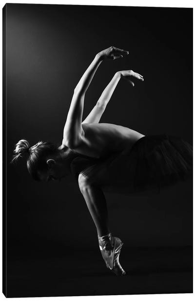 Classic Ballerina Dancer In Ballet Tutu Dress Classical Posing VI Canvas Art Print - Dancer Art