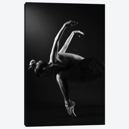 Classic Ballerina Dancer In Ballet Tutu Dress Classical Posing VI Canvas Print #ADT353} by Alessandro Della Torre Canvas Wall Art