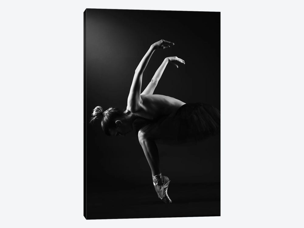 Classic Ballerina Dancer In Ballet Tutu Dress Classical Posing VI by Alessandro Della Torre 1-piece Art Print