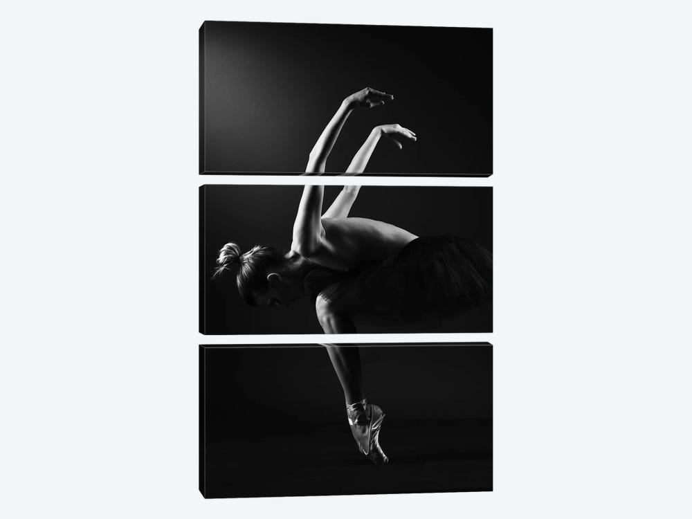 Classic Ballerina Dancer In Ballet Tutu Dress Classical Posing VI by Alessandro Della Torre 3-piece Art Print