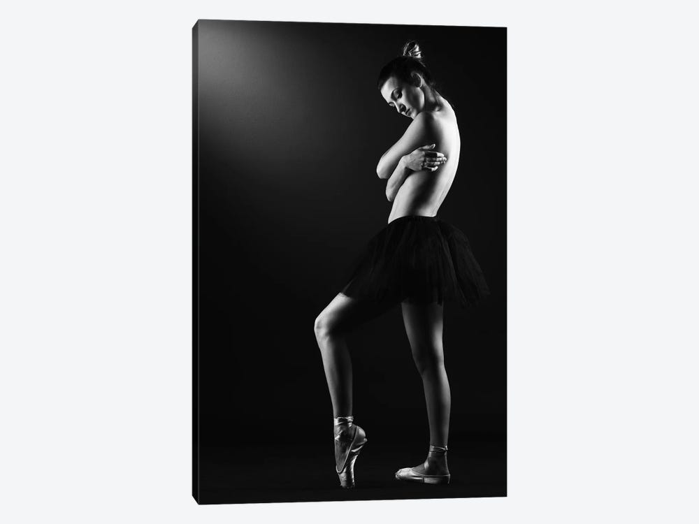 Classic Ballerina Dancer In Ballet Tutu Dress Classical Posing VII by Alessandro Della Torre 1-piece Canvas Artwork