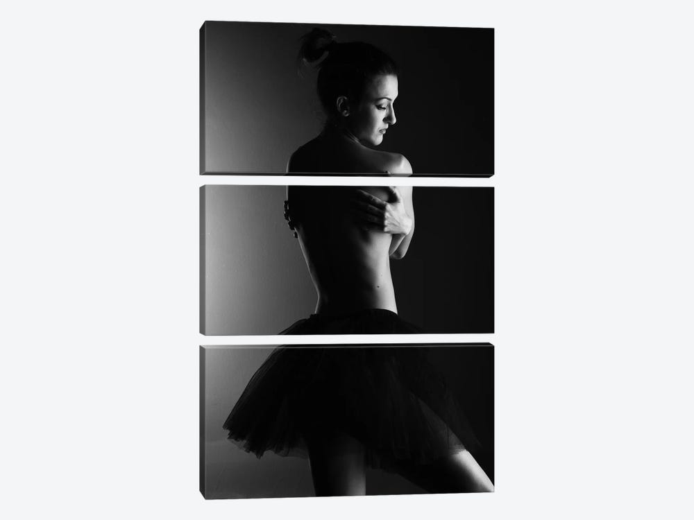 Classic Ballerina Dancer In Ballet Tutu Dress Classical Posing XI by Alessandro Della Torre 3-piece Canvas Art