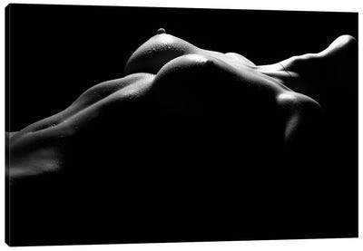 Nude Woman's Chest And Bresst In A Black And White Sensual Bodyscape Canvas Art Print - Female Nude Art