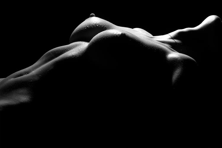 Nude Woman's Chest And Bresst In A Black And White Sensual Bodyscape