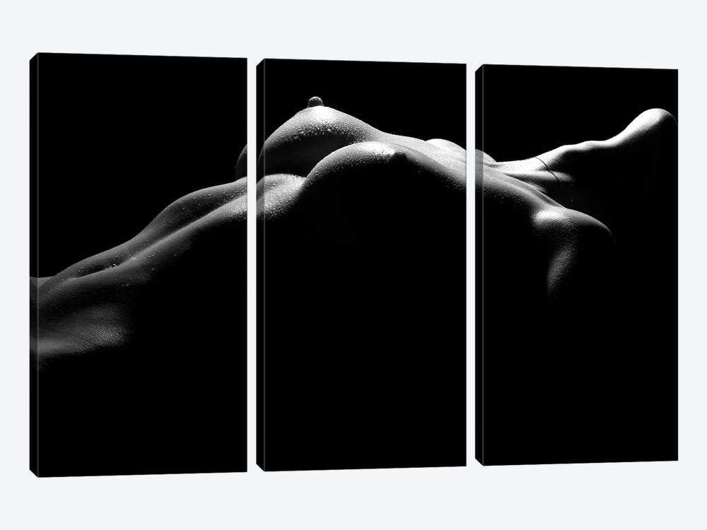 Nude Woman's Chest And Bresst In A Black And White Sensual Bodyscape by Alessandro Della Torre 3-piece Canvas Print
