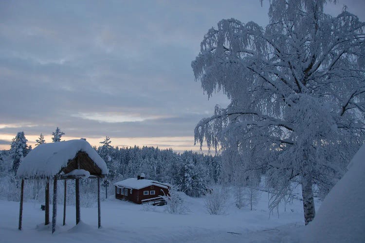 Sweden Ice Frosted Landscape