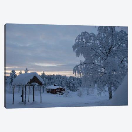 Sweden Ice Frosted Landscape Canvas Print #ADT554} by Alessandro Della Torre Canvas Print