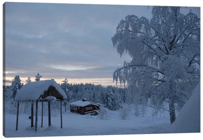 Sweden Ice Frosted Landscape Canvas Art Print - Sweden Art