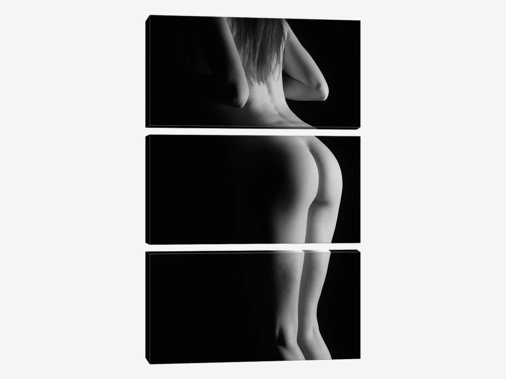 Woman Standing With Back, Buttocks And Legs by Alessandro Della Torre 3-piece Canvas Artwork