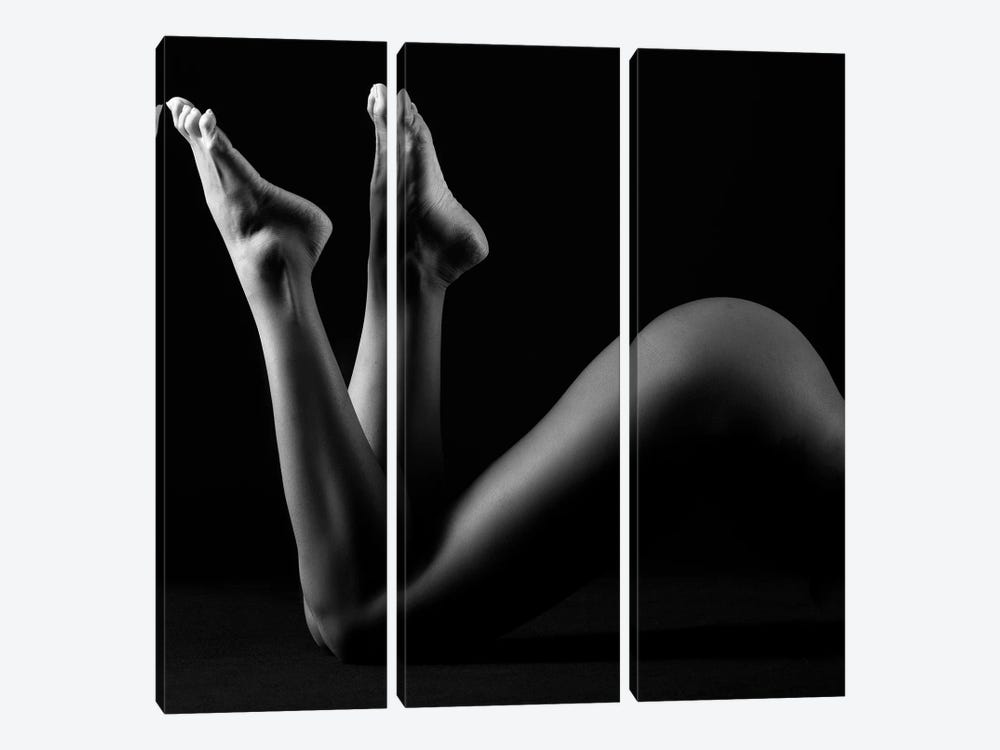 Nude Adult Woman VI by Alessandro Della Torre 3-piece Canvas Art