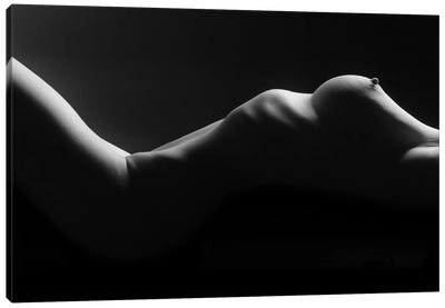 Nude Woman Bodyscape Apollonia XXXI Canvas Art Print - Alessandro Della Torre