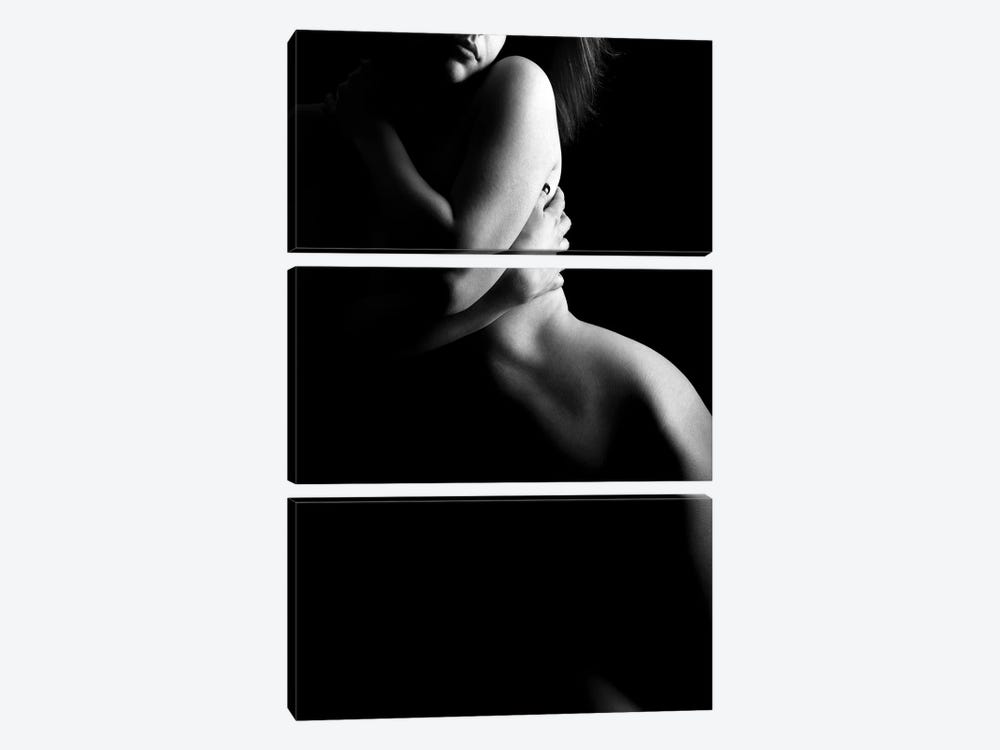 Nude Woman Isolated Sexy Diana by Alessandro Della Torre 3-piece Canvas Wall Art