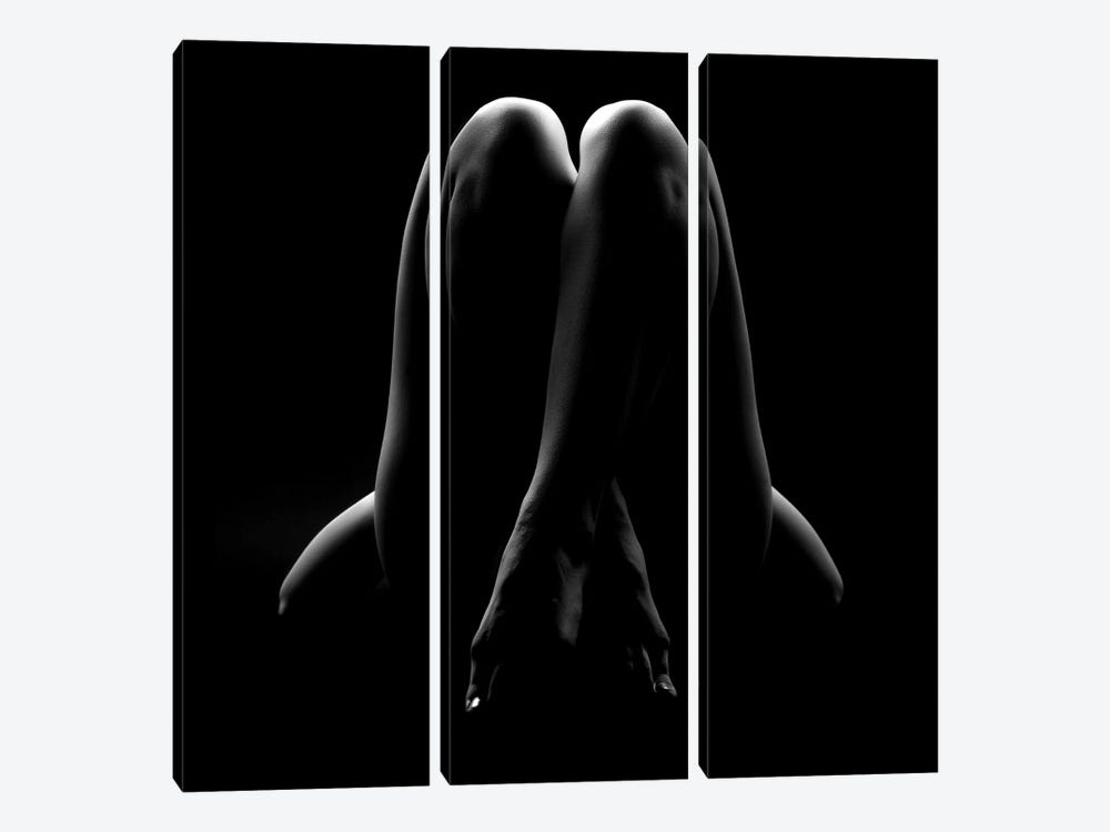 Nude Woman Silhouette Girl Dyana by Alessandro Della Torre 3-piece Canvas Wall Art