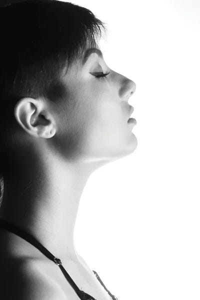 Sexy Woman Portrait Silhouette On White