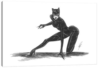 Cat Woman Dressed In Black Canvas Art Print - Catwoman