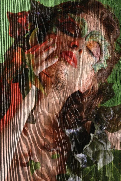 Poison Ivy Nadia by Alessandro Della Torre canvas print