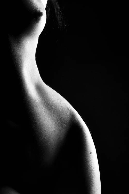 Nude Black And White Woman'S Silhouette