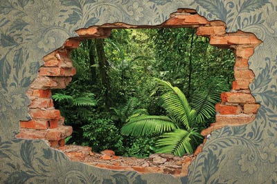 Break In The Wall Into The Forest by Alessandro Della Torre art print