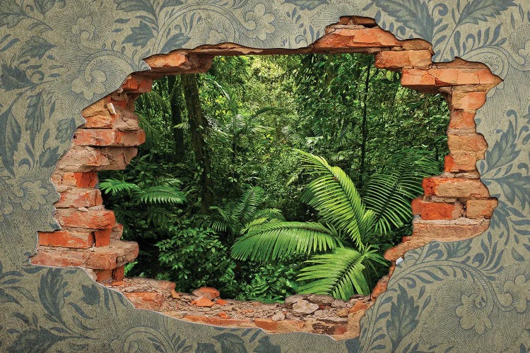 Break In The Wall Into The Forest