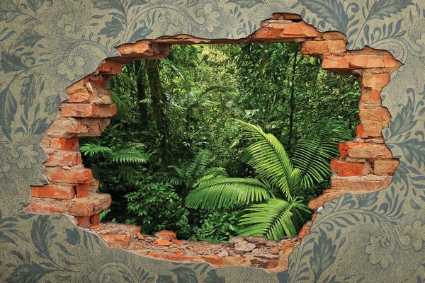 Break In The Wall Into The Forest