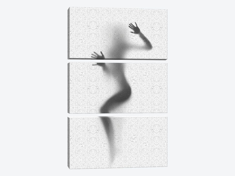 Woman Under The Shower by Alessandro Della Torre 3-piece Canvas Print
