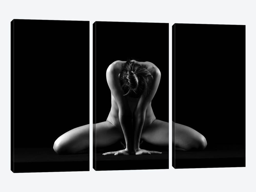 Nude Woman Posing Sitting Down Naked With Open Legs by Alessandro Della Torre 3-piece Canvas Artwork
