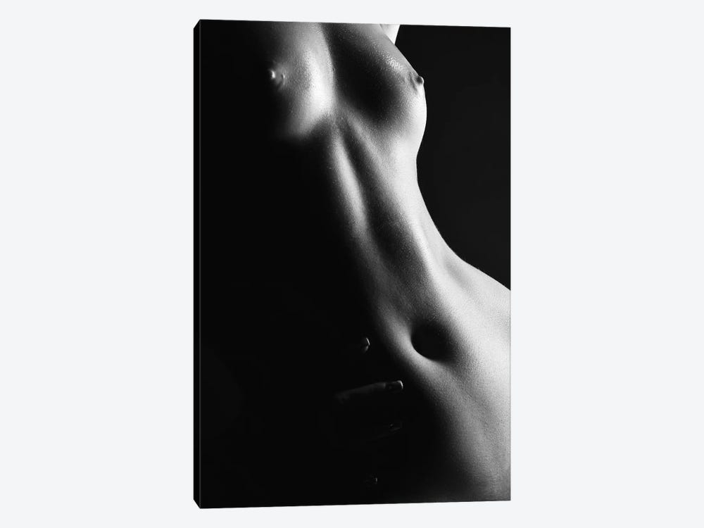 Nude Woman'S Body With Nipples And Chest Silhouette by Alessandro Della Torre 1-piece Art Print