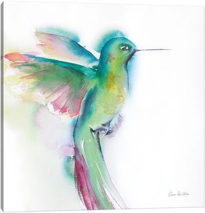 Hummingbirds II Canvas Art Print