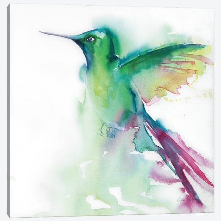Hummingbirds III Canvas Print #ADV17} by Aimee Del Valle Canvas Wall Art
