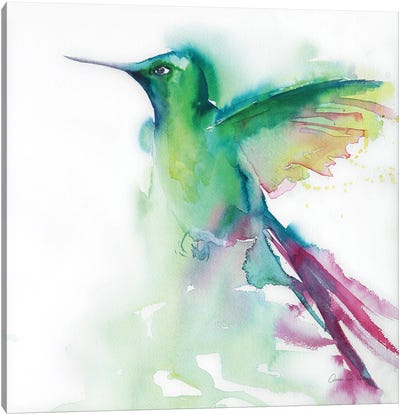 Hummingbirds III Canvas Art Print