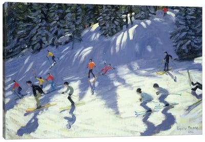 Fast Run Canvas Art Print - Andrew Macara