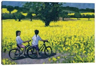 Yellow Field, Kedleston, Derby Canvas Art Print