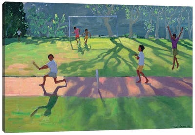 Cricket, Sri Lanka I Canvas Art Print - Andrew Macara