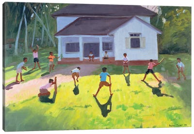 Cricket, Sri Lanka II Canvas Art Print - Andrew Macara