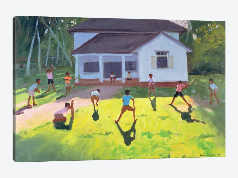 Cricket, Sri Lanka II by Andrew Macara 1-piece Canvas Artwork