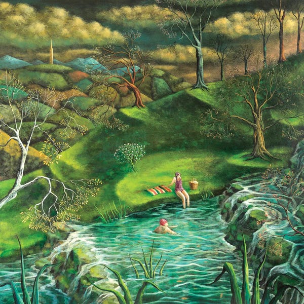 Adrian Sykes: Wild Swim by Adrian Sykes