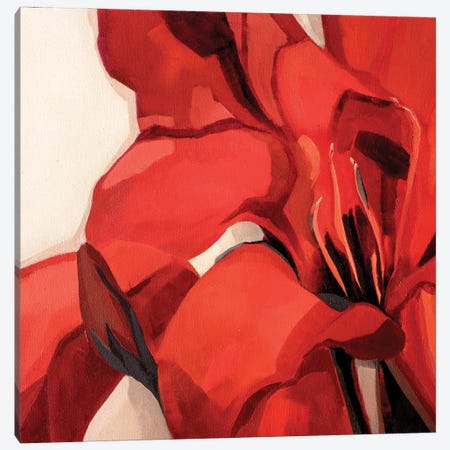 Deep In Red Canvas Print #ADY20} by Andrea De Luigi Canvas Print