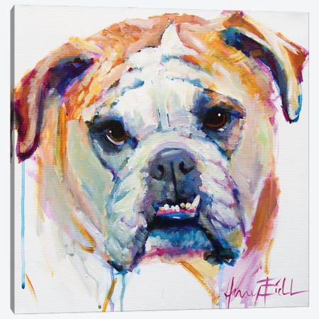 Bulldog Canvas Print #AEC17} by Amy Eichler Canvas Artwork