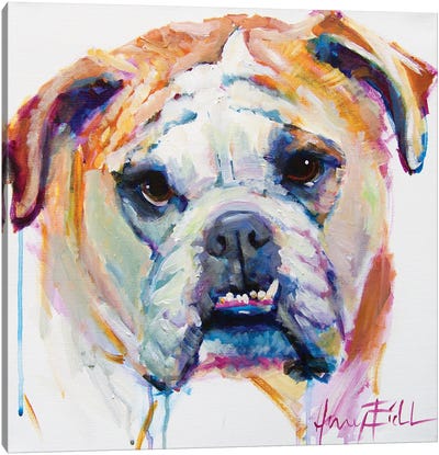 Bulldog Canvas Art Print - Amy Eichler
