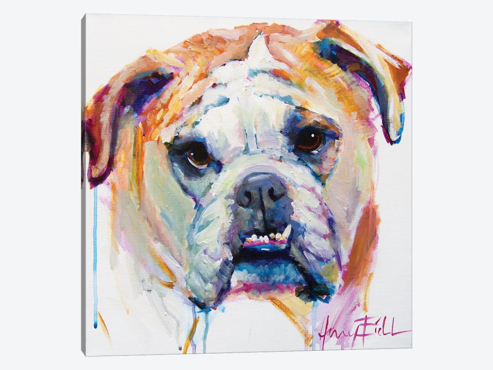 Bulldog by Amy Eichler 1-piece Canvas Wall Art