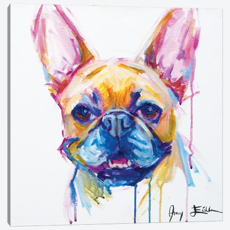 French Bulldog Canvas Print #AEC23} by Amy Eichler Canvas Artwork
