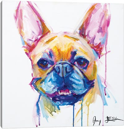 French Bulldog Canvas Art Print - Amy Eichler