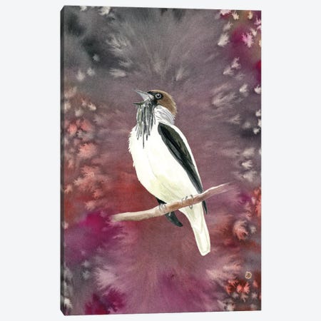 Bearded Bellbird - Campanero Tropical Forest Bird Canvas Print #AEE100} by Andreea Dumez Art Print
